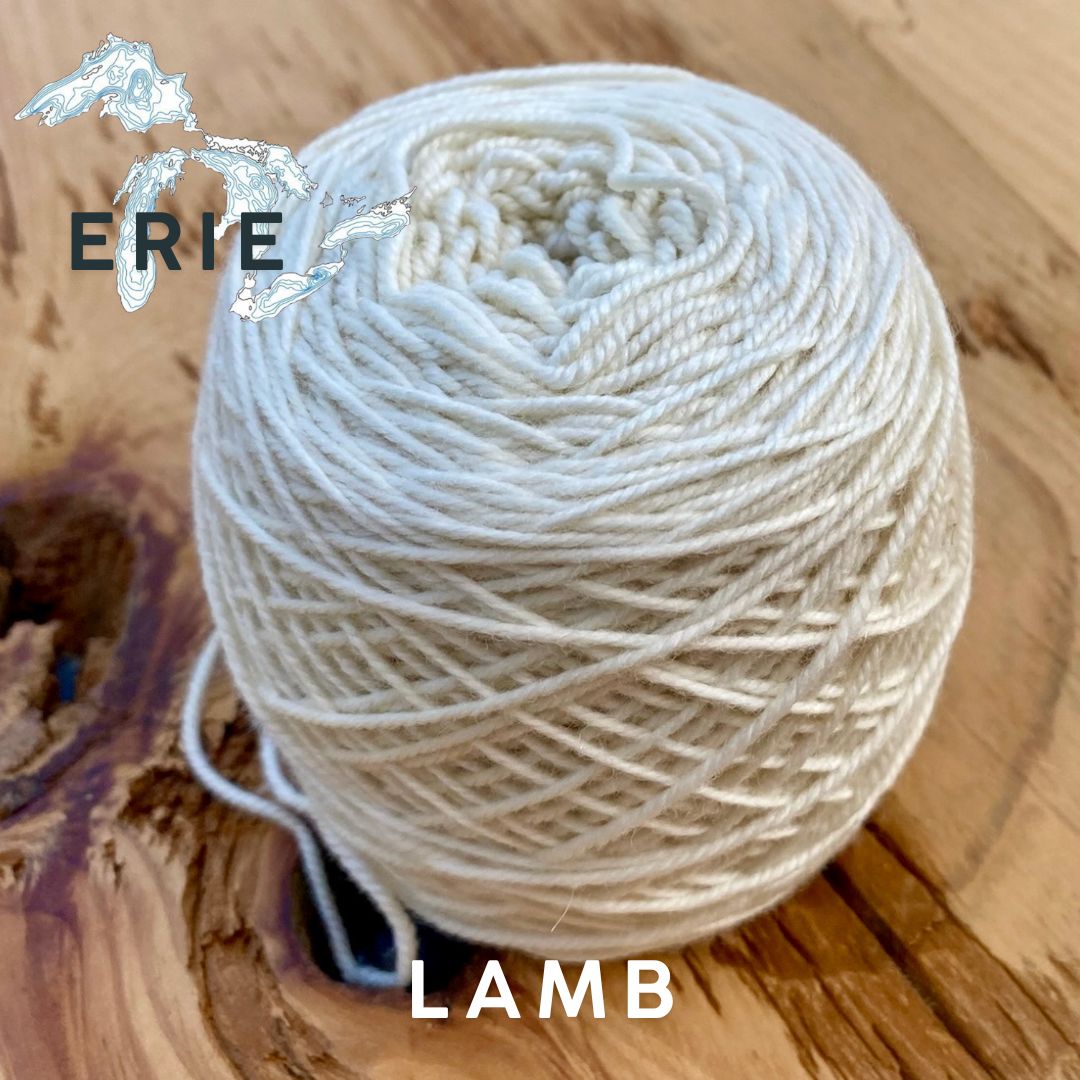 Black Label - Erie - Worsted Weight Yarn