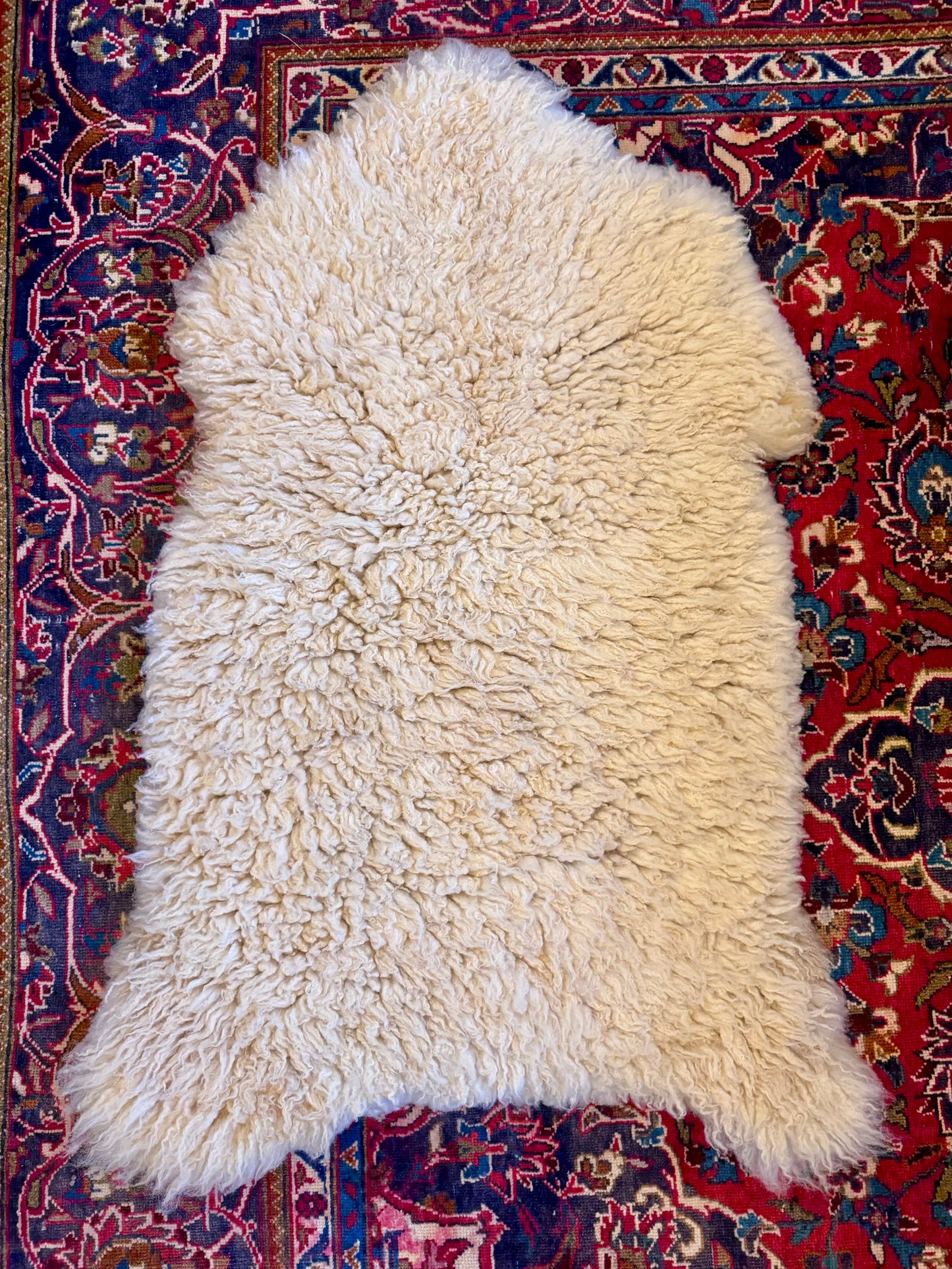 PELT E