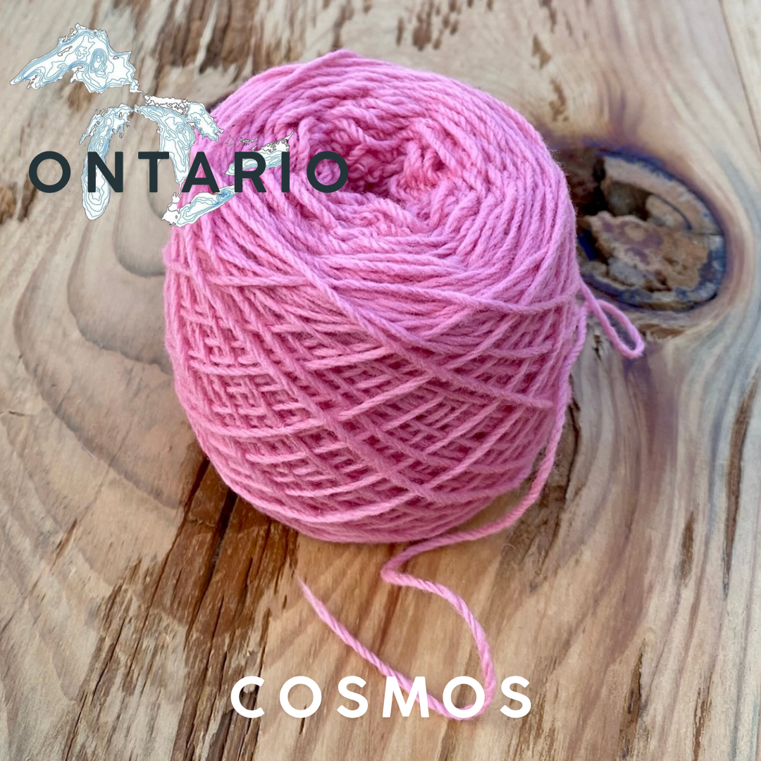 Black Label - Ontario - Fingering Weight Yarn