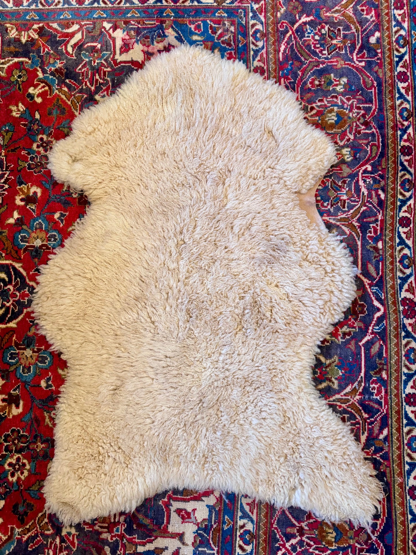 Pelt D
