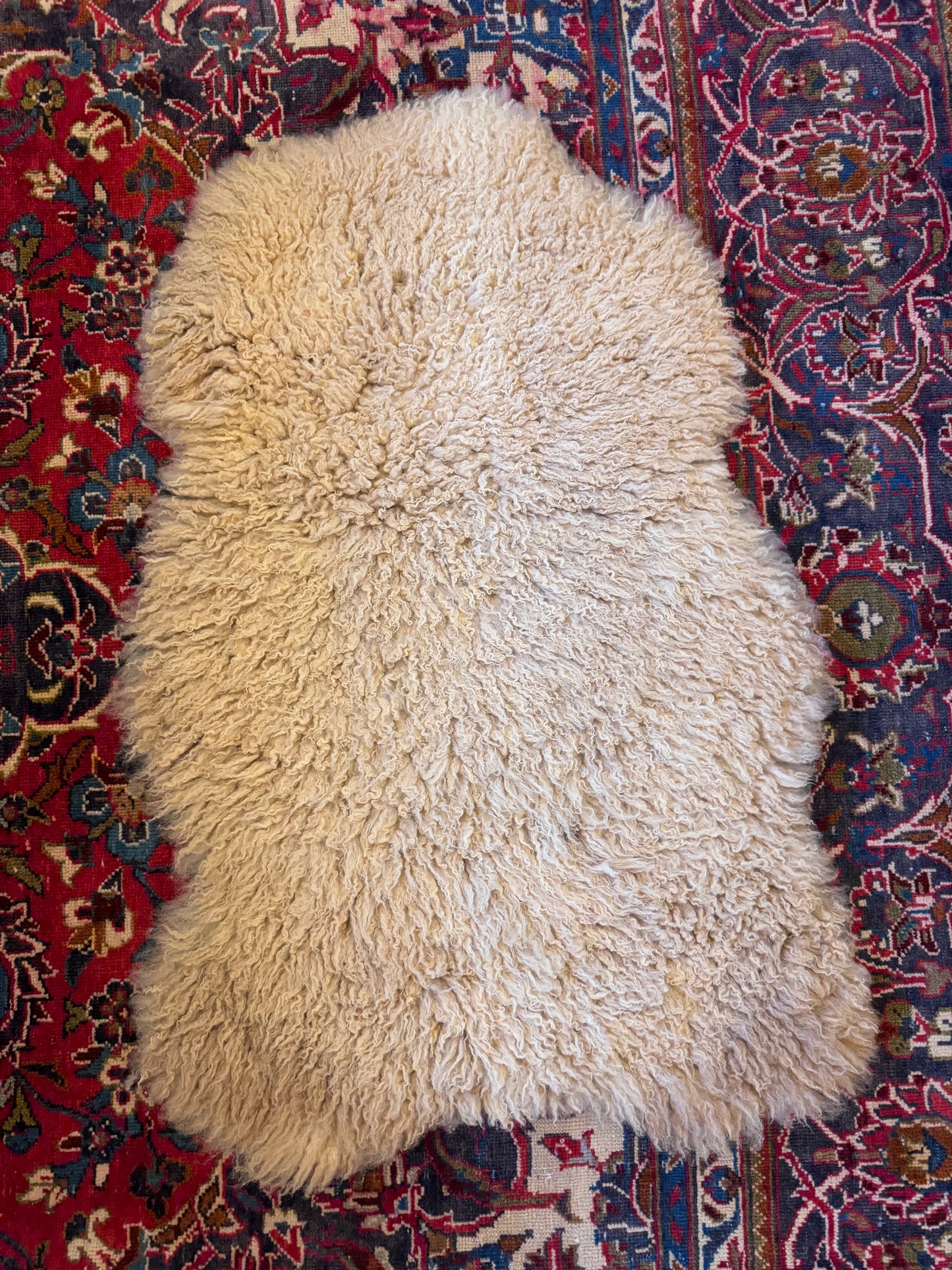 PELT B