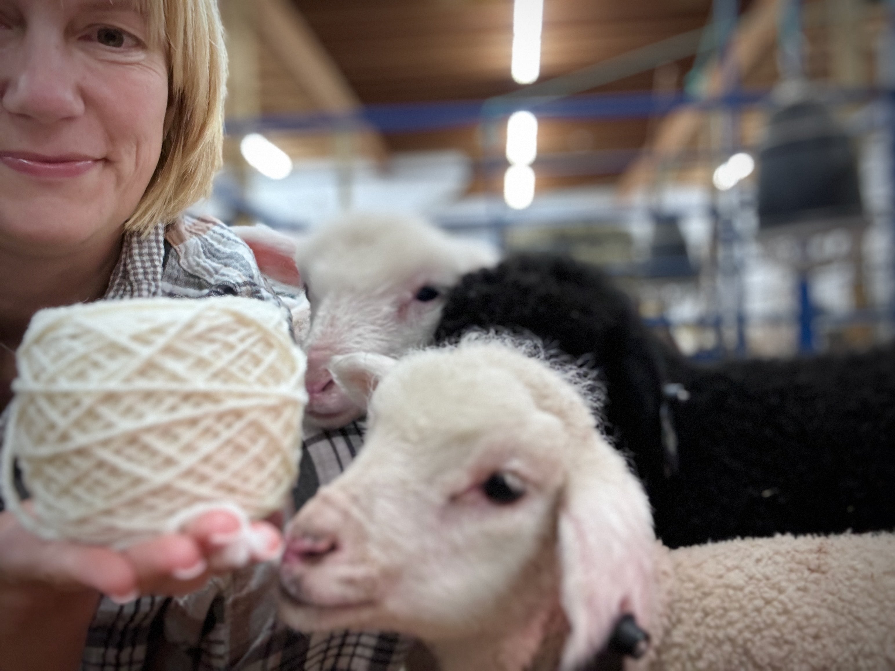 FarmHER Sherry holds a cake of yarn while curious lambs inspect it