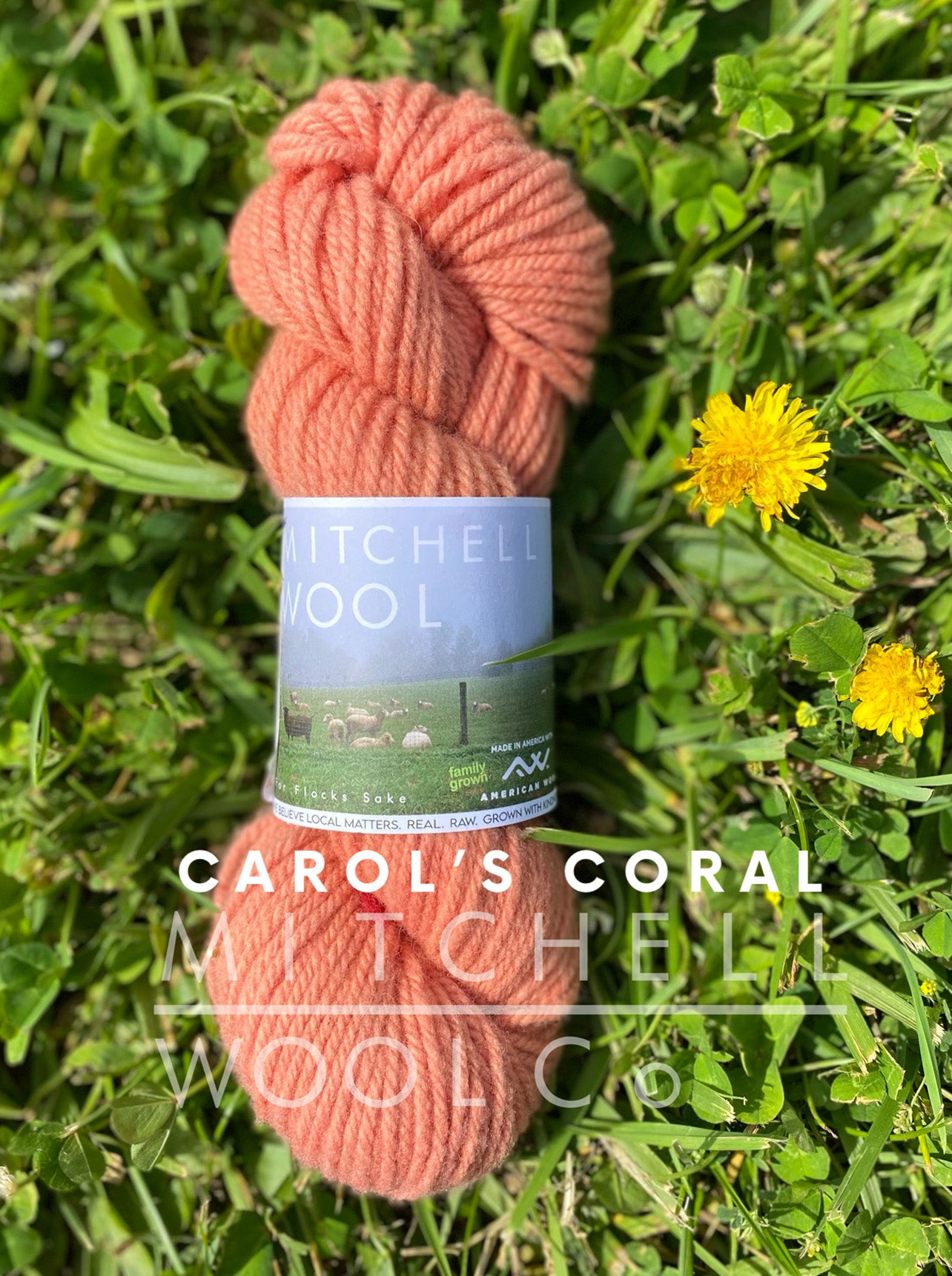 Cormo worsted