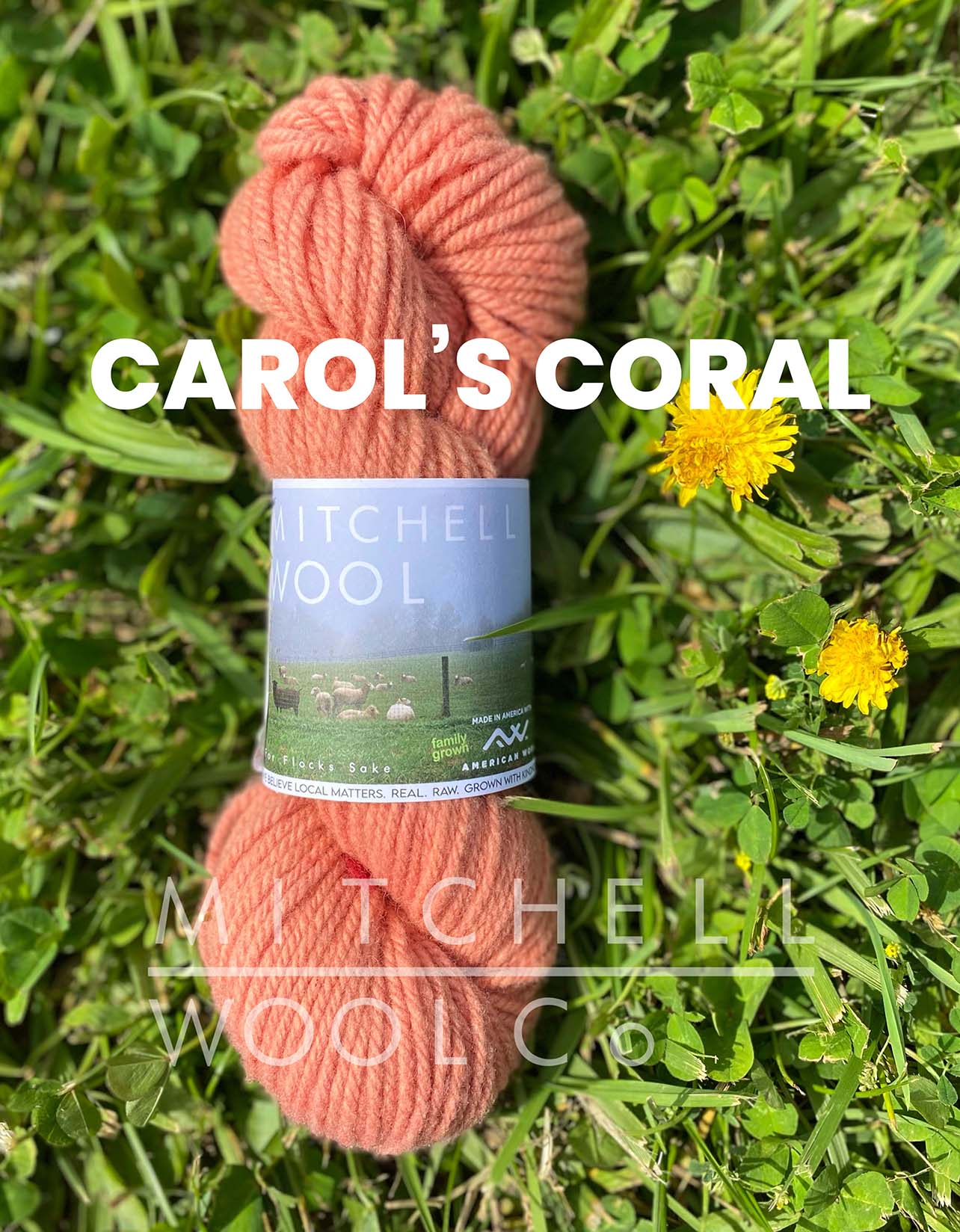 Cormo ARAN yarn