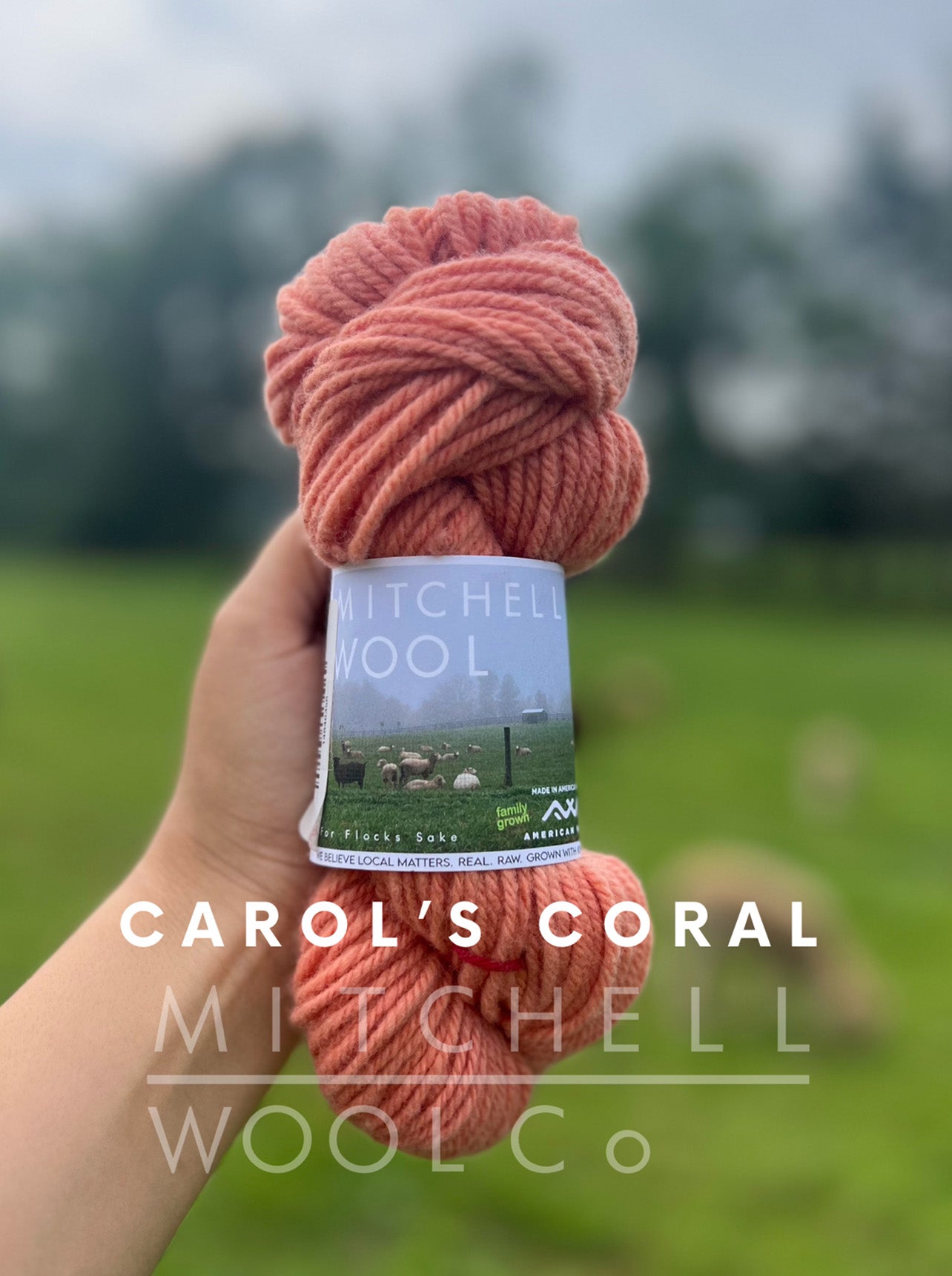 Cormo Worsted Yarn