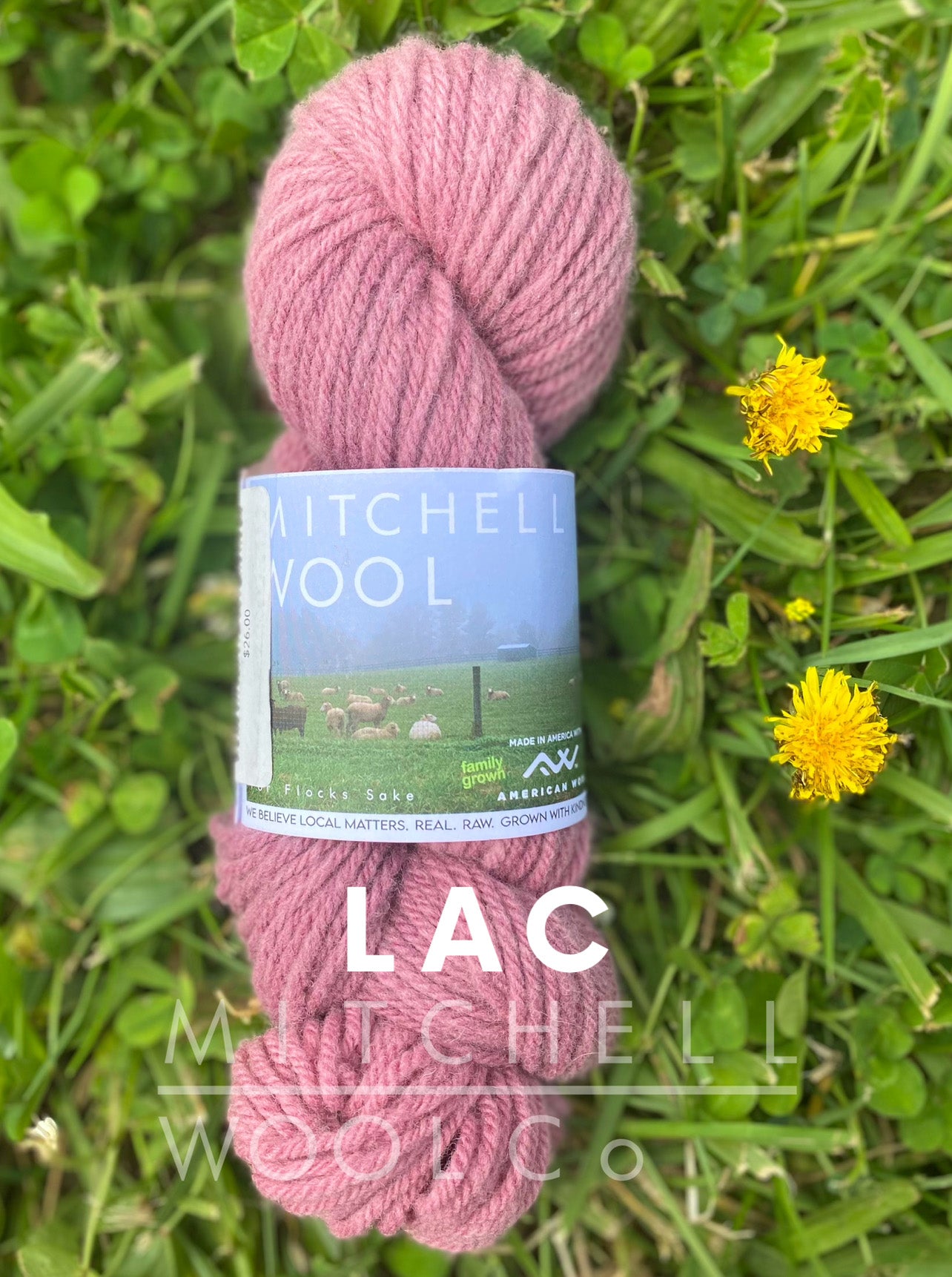 Targhee FINGERING yarn