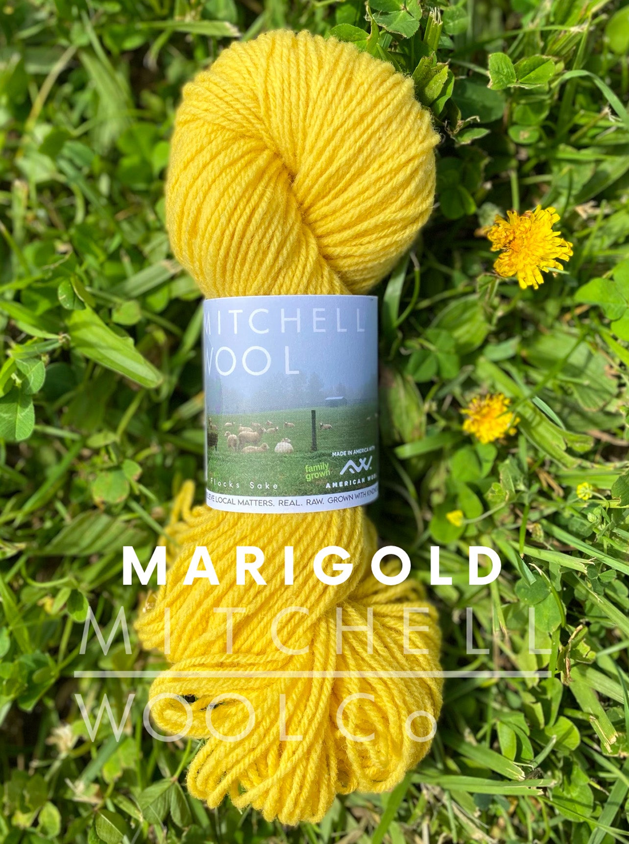 Targhee FINGERING yarn