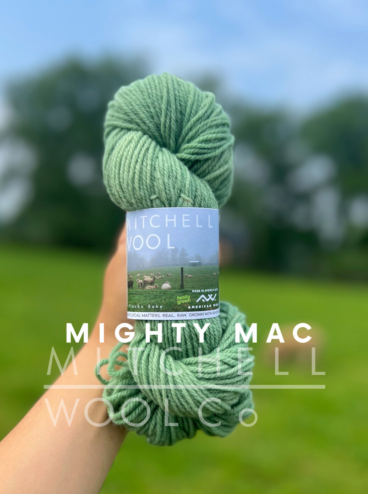 Cormo Worsted Yarn