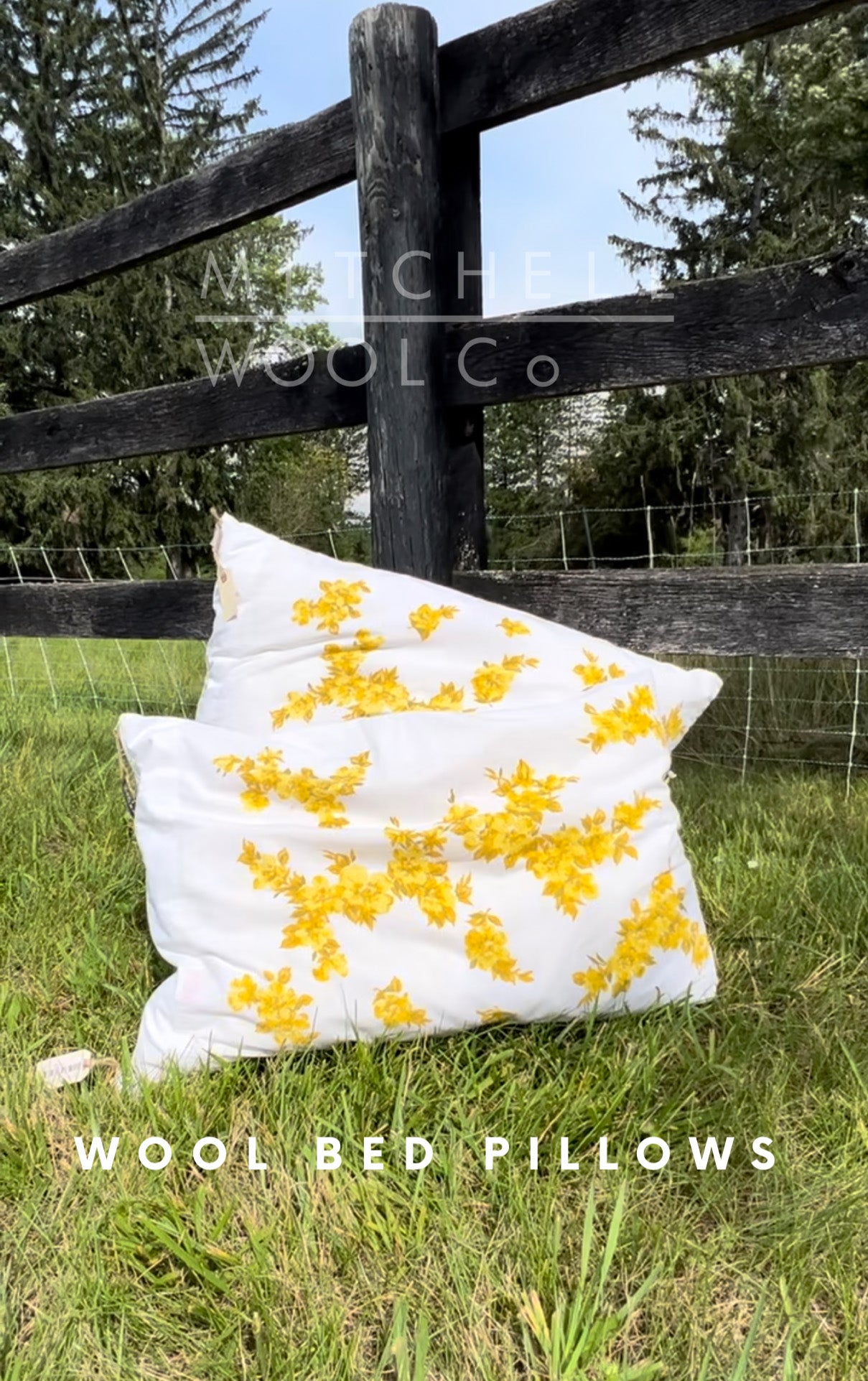 WOOL BED PILLOWS