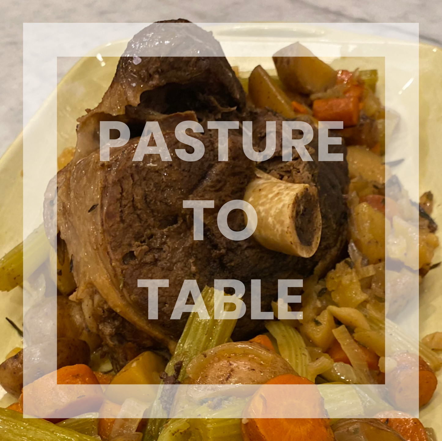 the gratification of feeding our family with lovingly raised lamb from our own efforts is soul filling!
