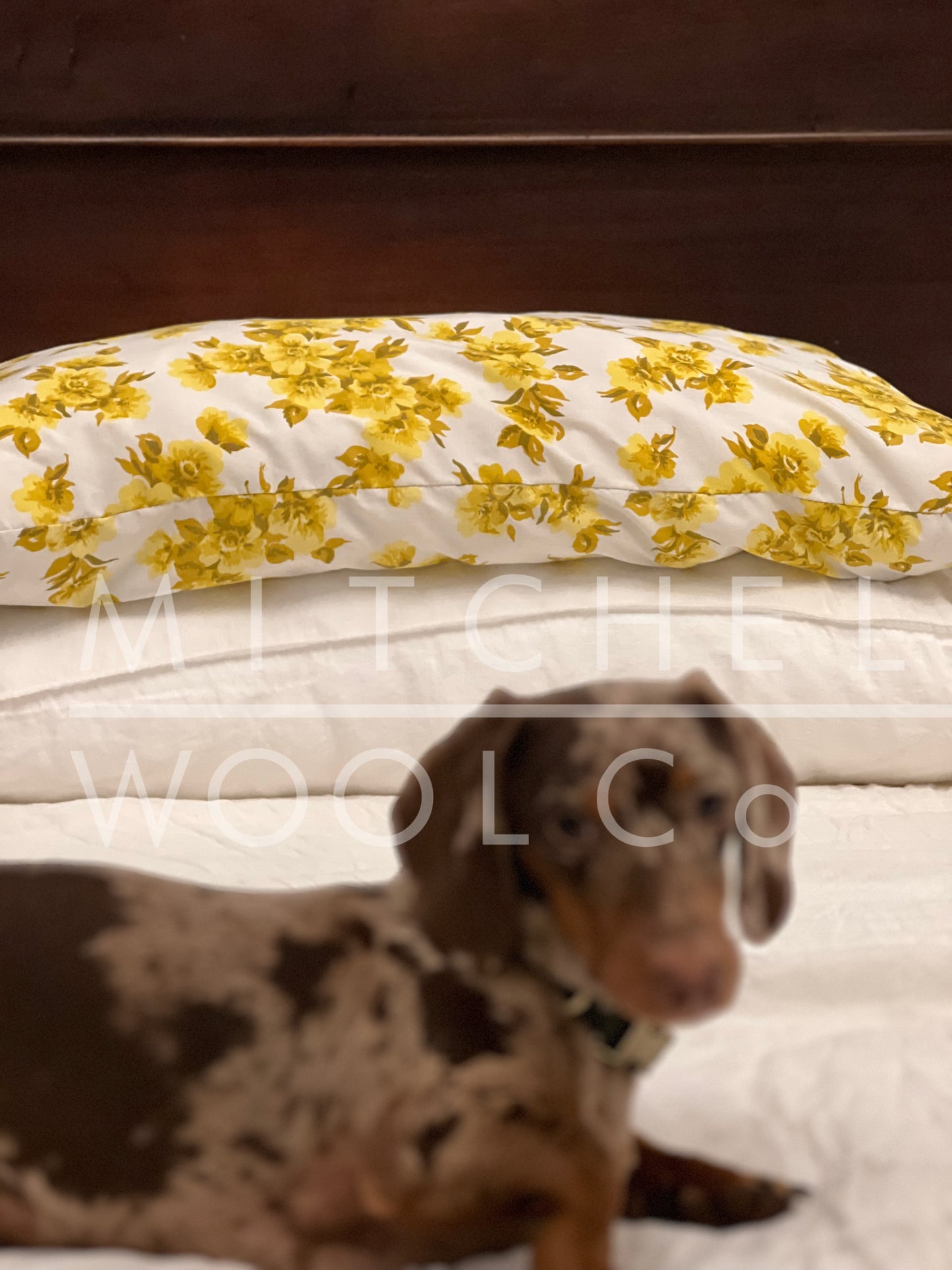 WOOL BED PILLOWS
