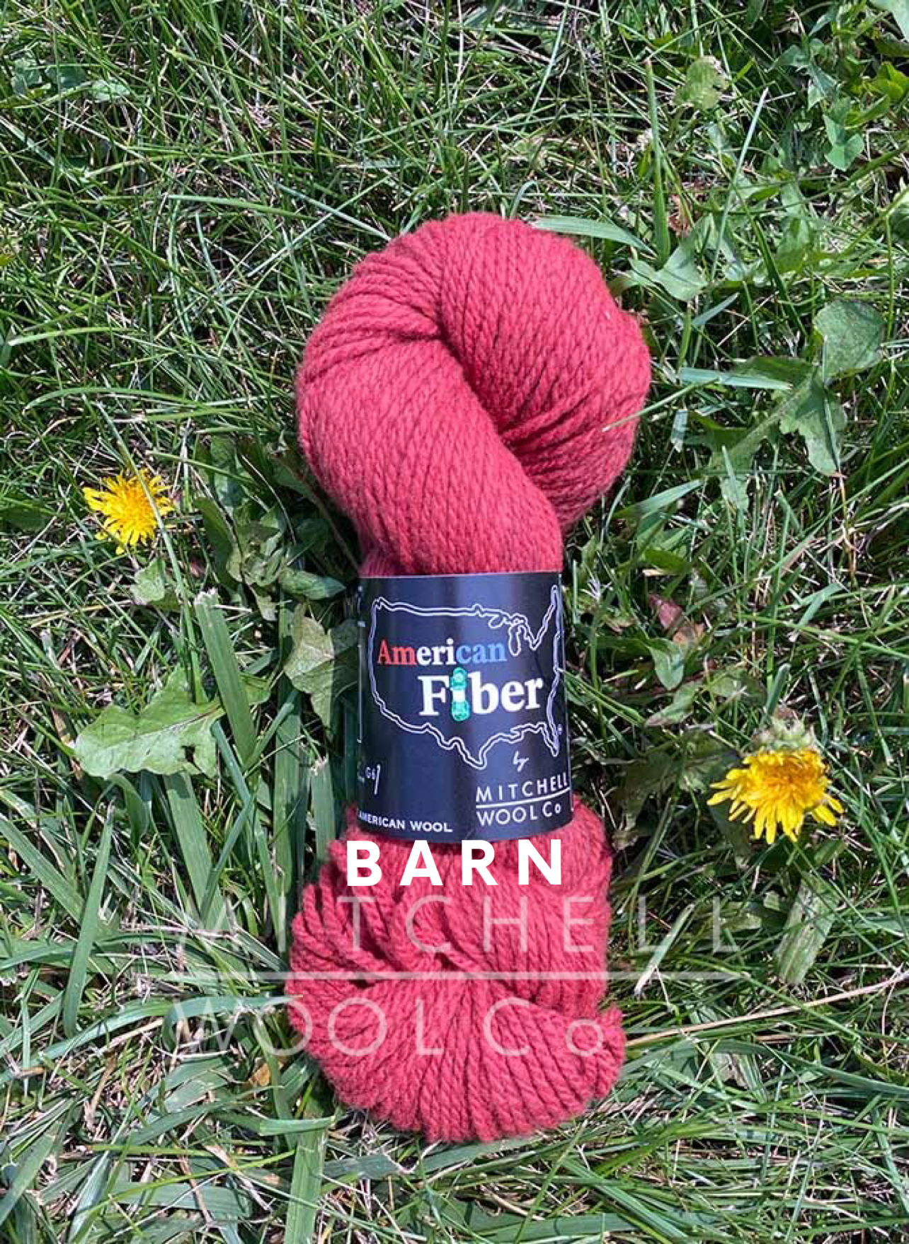 AMERICAN FIBER - BFL FINGERING YARN