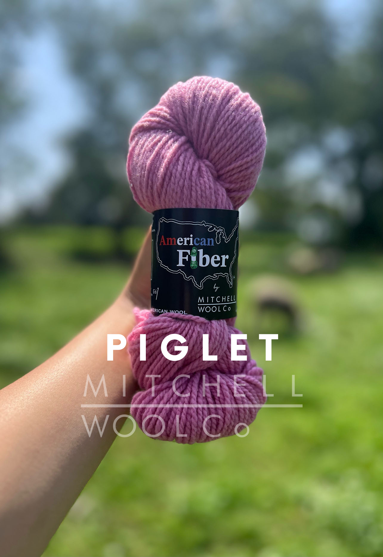 AMERICAN FIBER - BFL FINGERING YARN