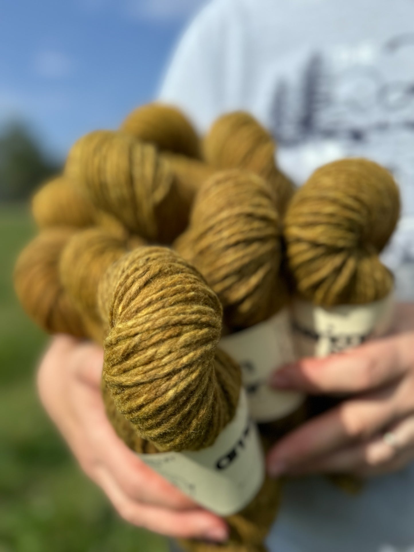 GATHER - Suri Alpaca DK