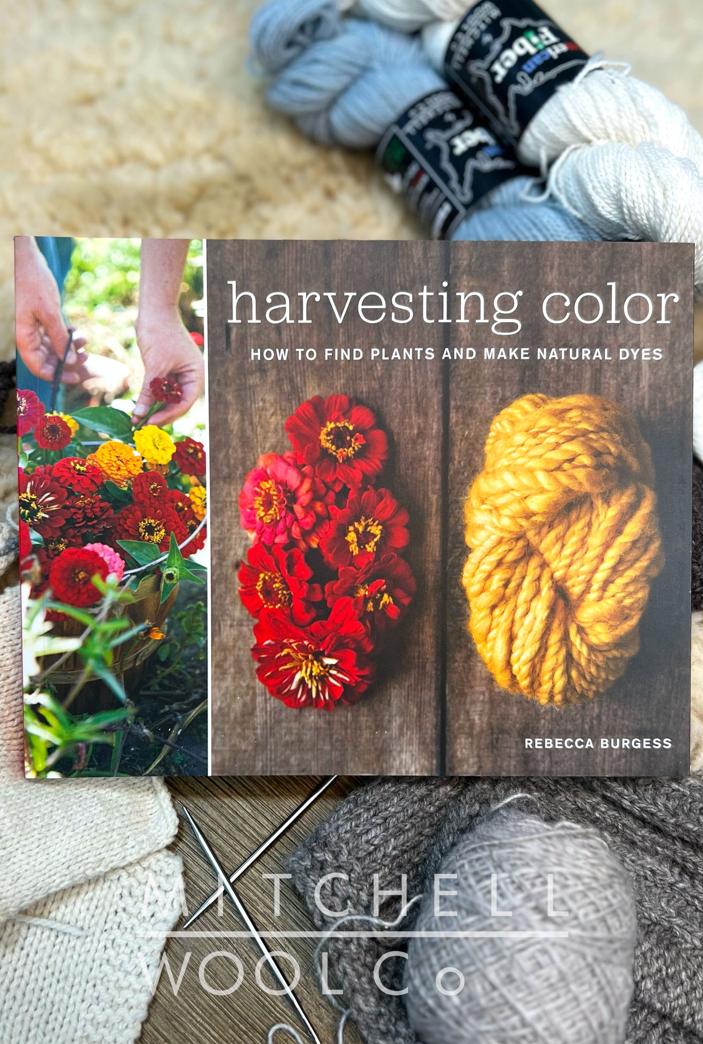 Harvesting Color Book
