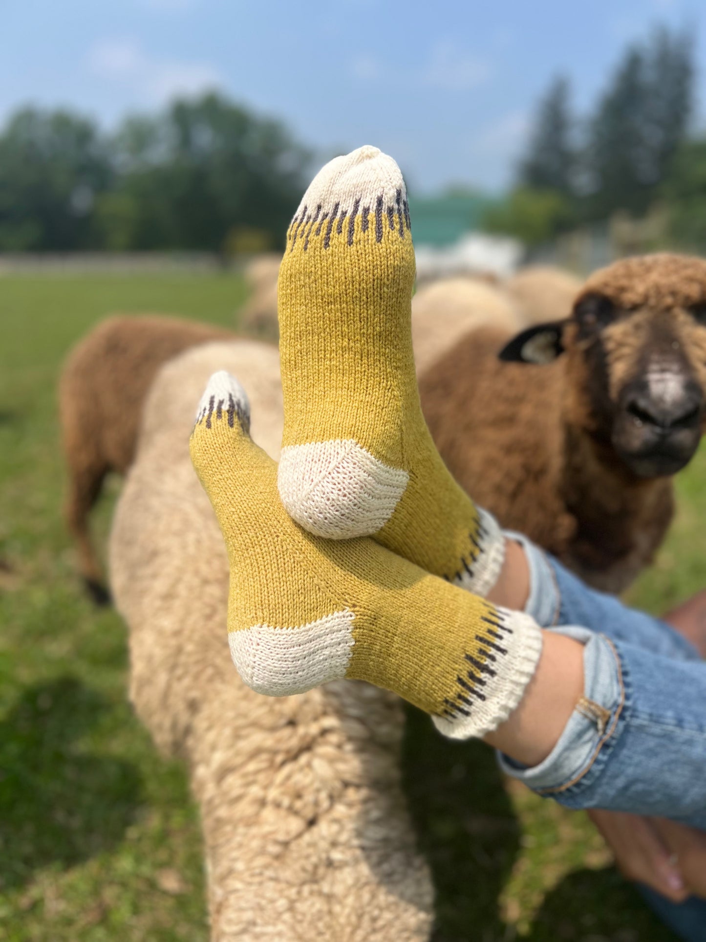 Sherry's feet are clad in the beautiful Megaliths Socks knit in Targhee Sock with silk in colors Marigold, Natural and Black. Note- our kit includes deep storm front blue