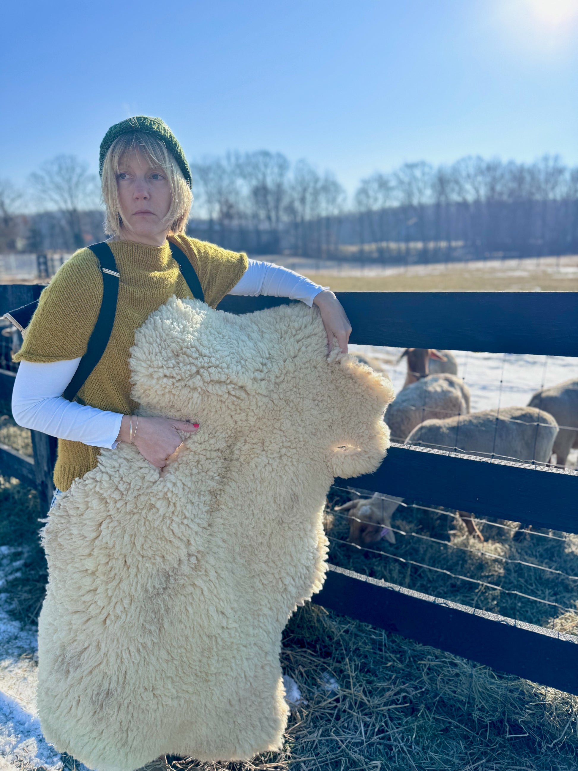 Sherry - a white female shepherd holds a Tunis pelt in the cold winter sunshine just outside the sheep pasture