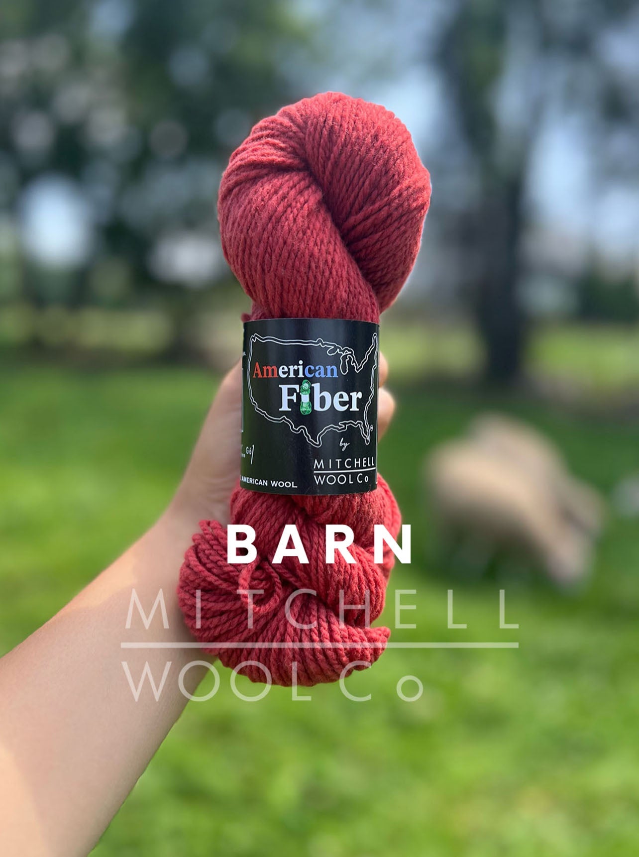 AMERICAN FIBER - BFL FINGERING YARN