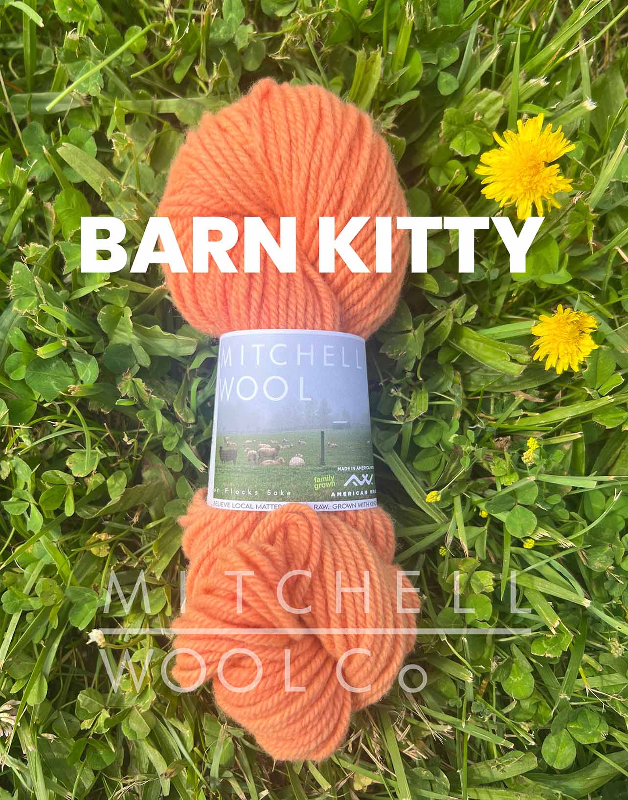 Cormo ARAN yarn