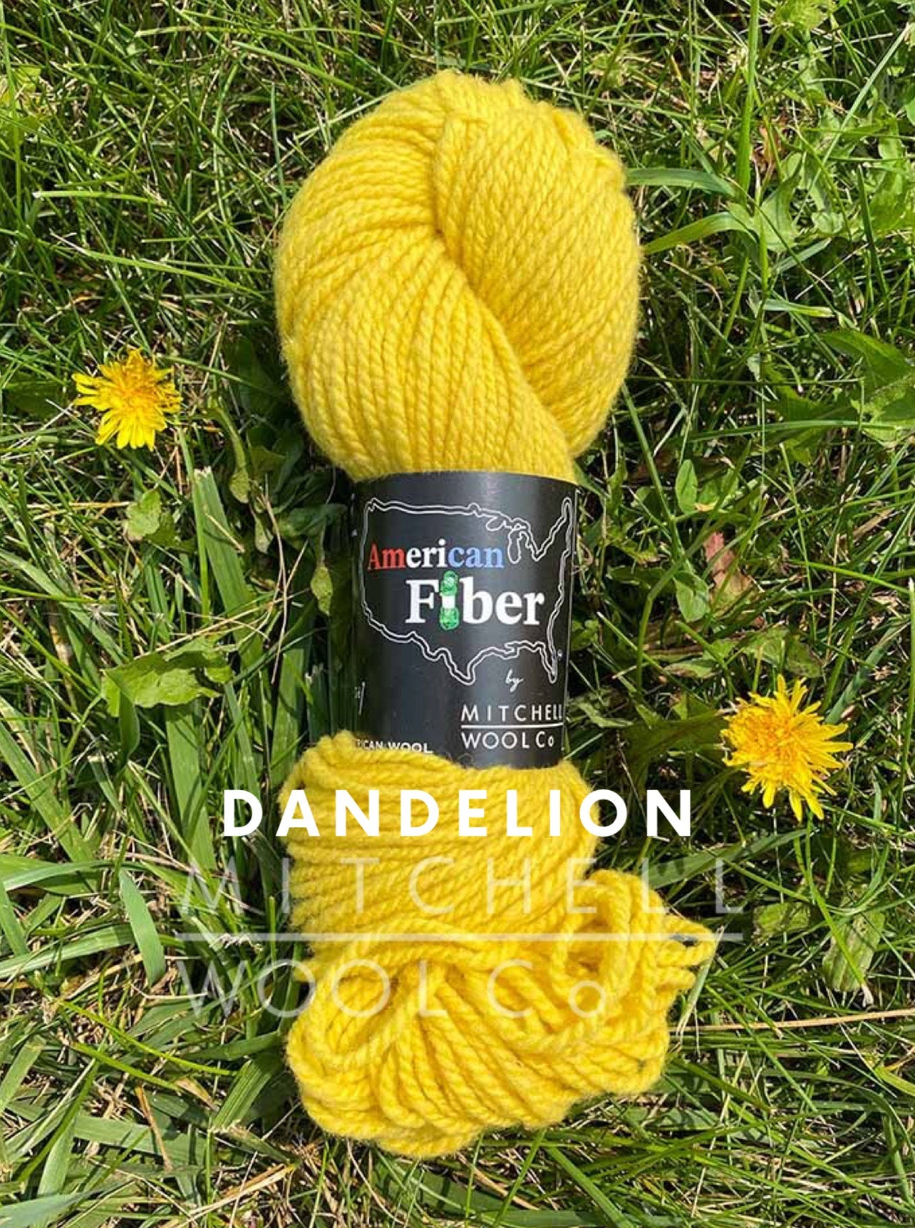 AMERICAN FIBER - BFL FINGERING YARN