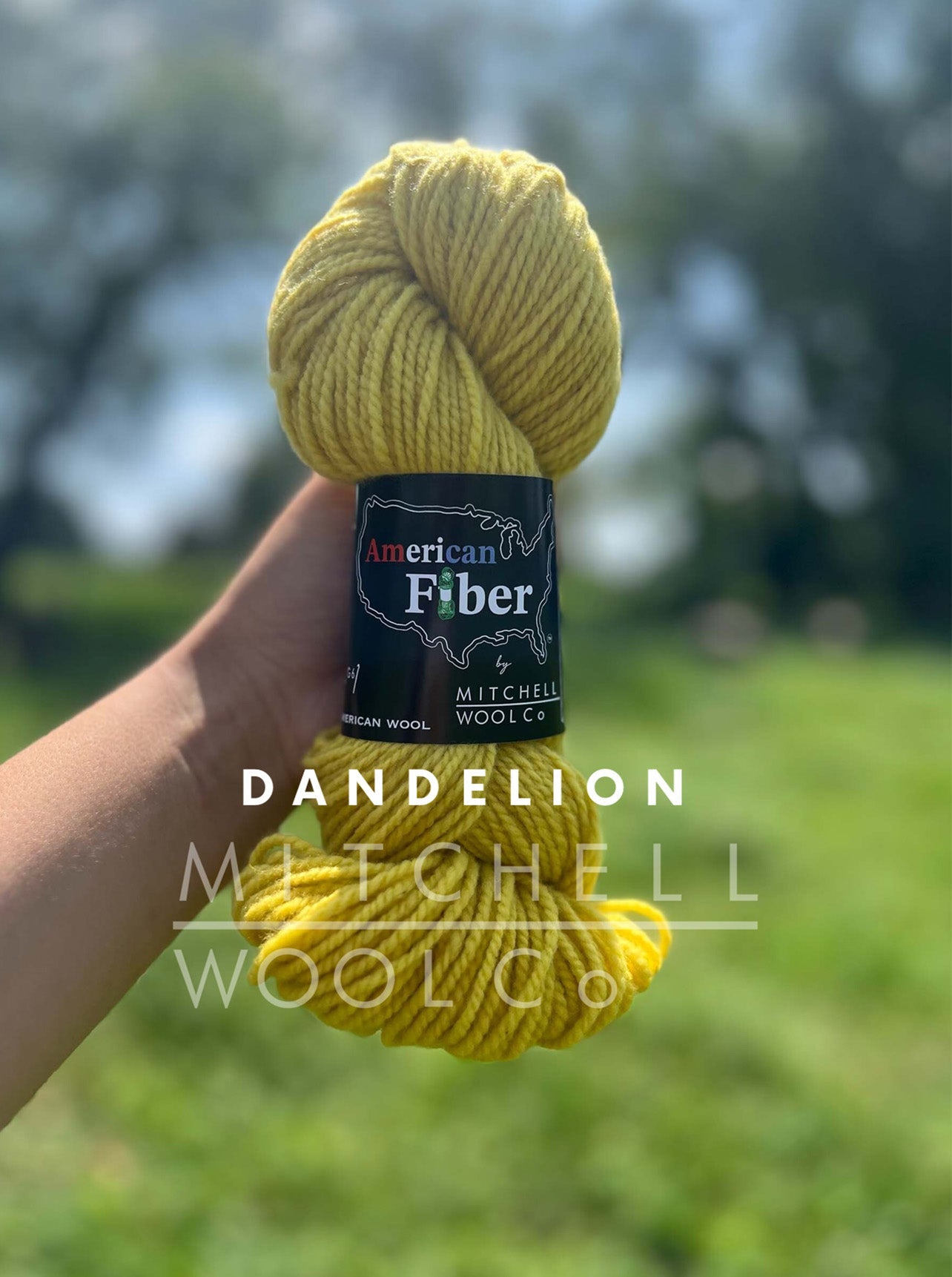 AMERICAN FIBER - BFL FINGERING YARN