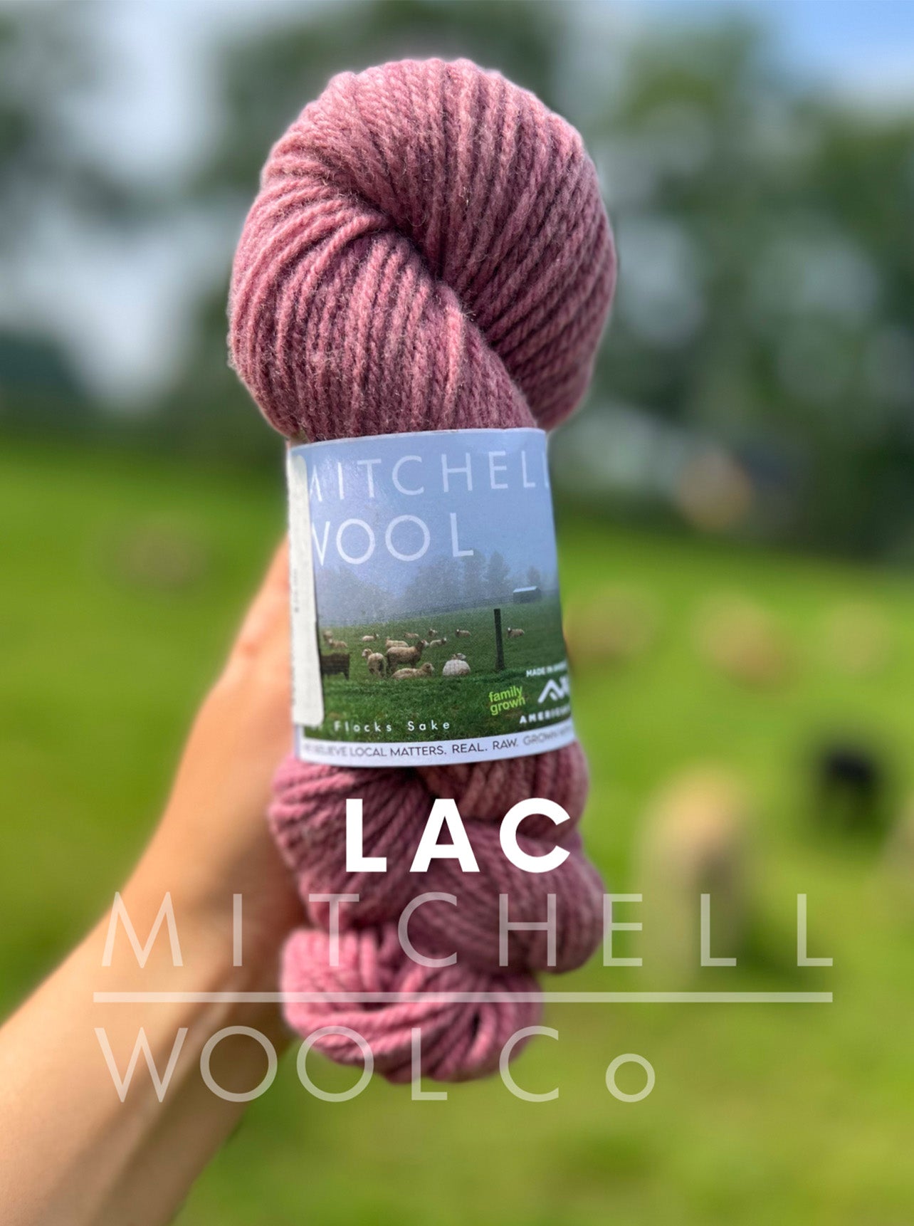 Targhee FINGERING yarn