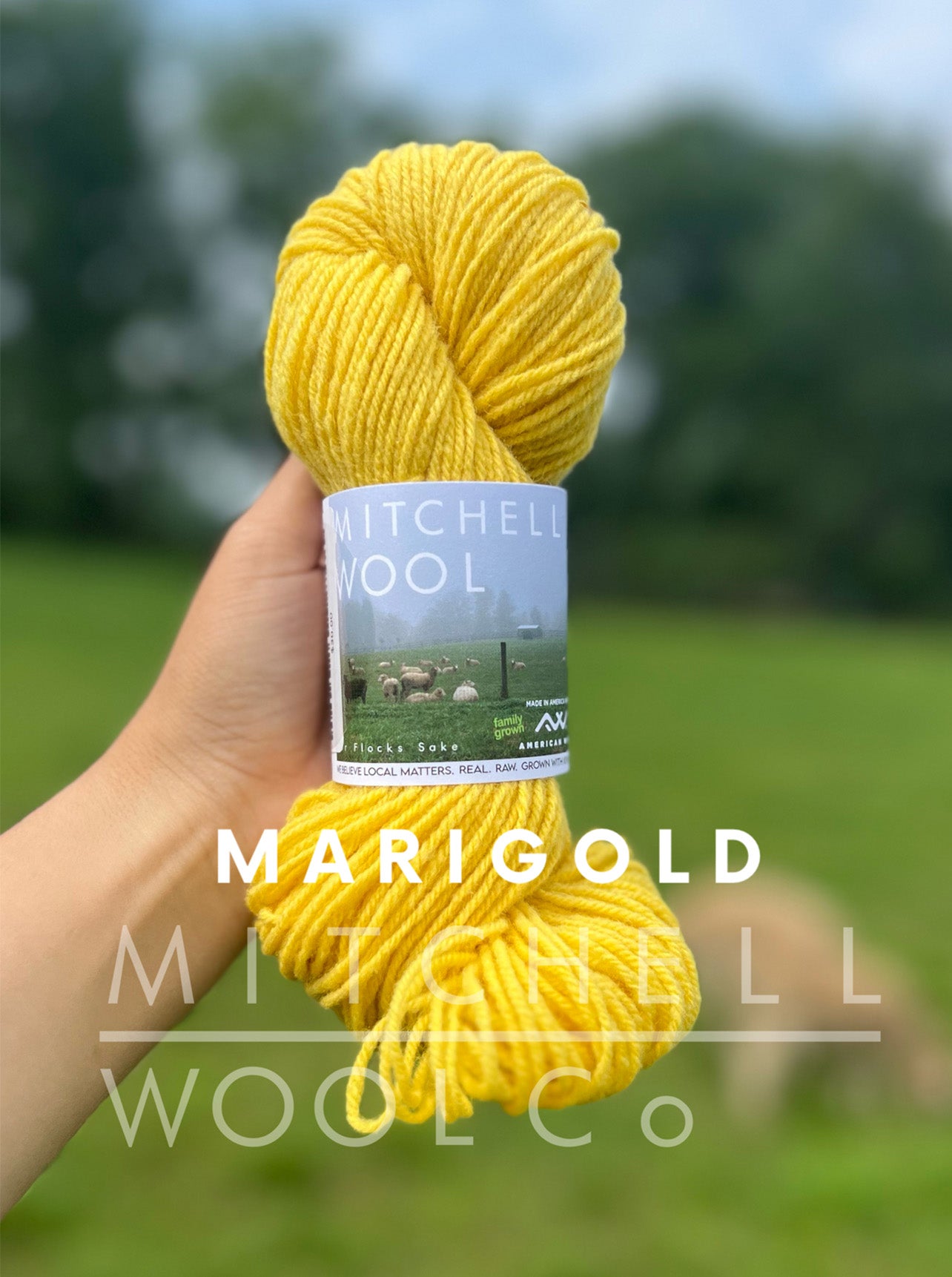 Cormo Worsted Yarn