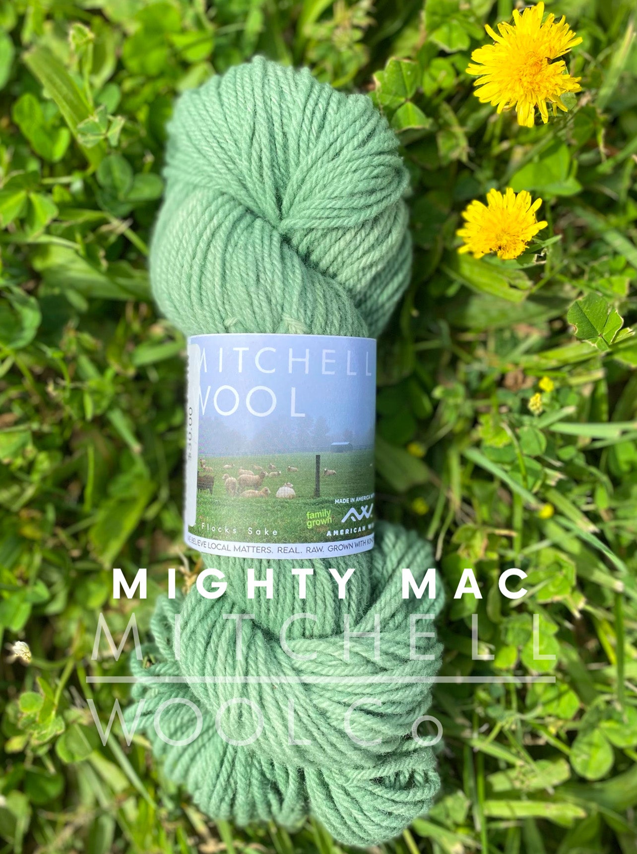 Targhee FINGERING yarn