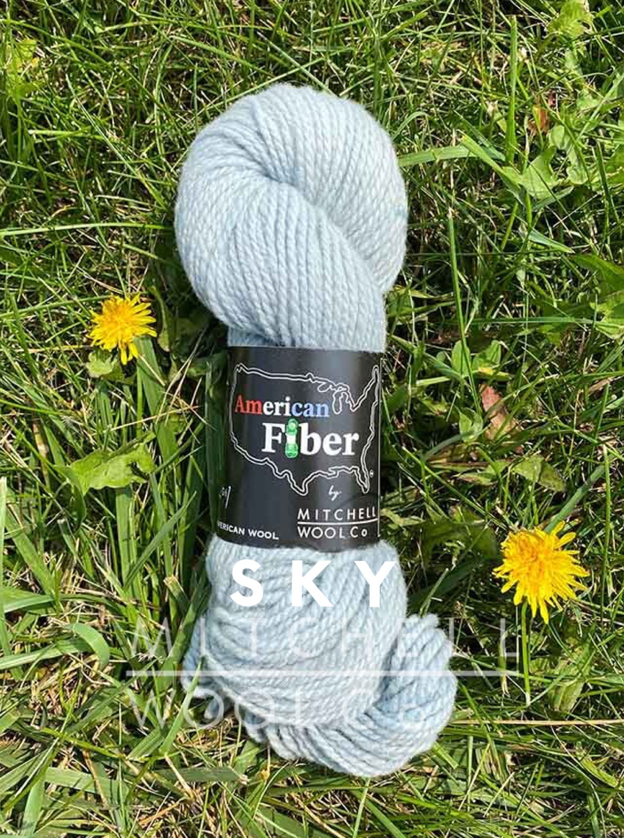 AMERICAN FIBER - BFL FINGERING YARN