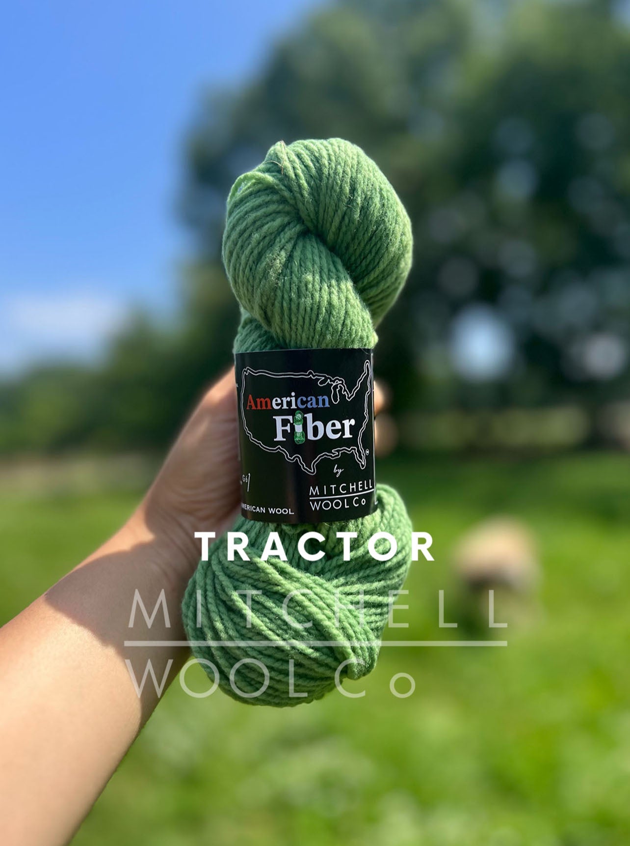 AMERICAN FIBER - BFL FINGERING YARN