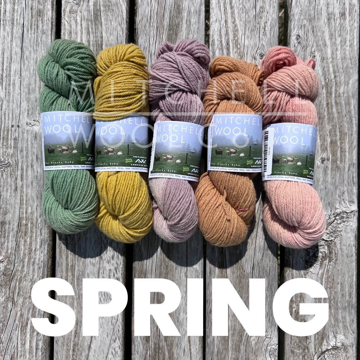 5 skeins of MWC yarn sit on a weathered grey table in the SPRING colorway- left to right is MACKINAC, MARIGOLD, LAC, CUTCH, and CAROL'S CORAL