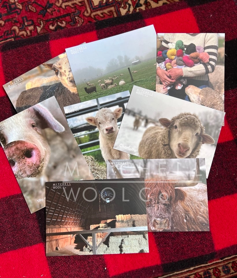 eight beautiful matte finish notecards lay scattered on a woolrich blanket