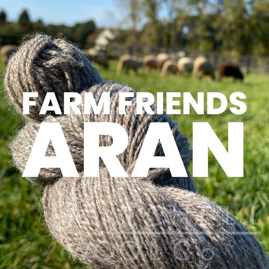 Farm Friends ARAN yarn