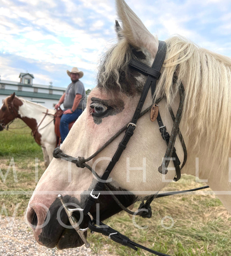 Whiskey sports his name and a rocks glass icon on his black dressage bridle. The unobtrusive tag fits easily through the existing punched hole in his chin strap 
